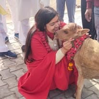 गौ सेवा 5