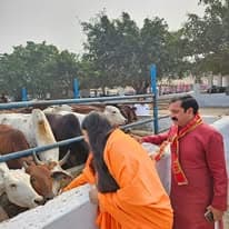 गौ सेवा 1