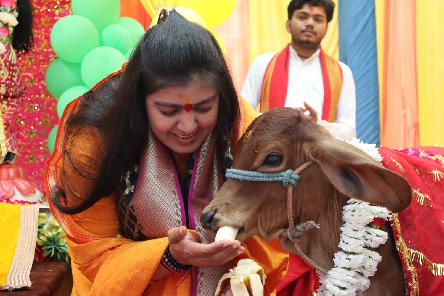 गौ सेवा 2