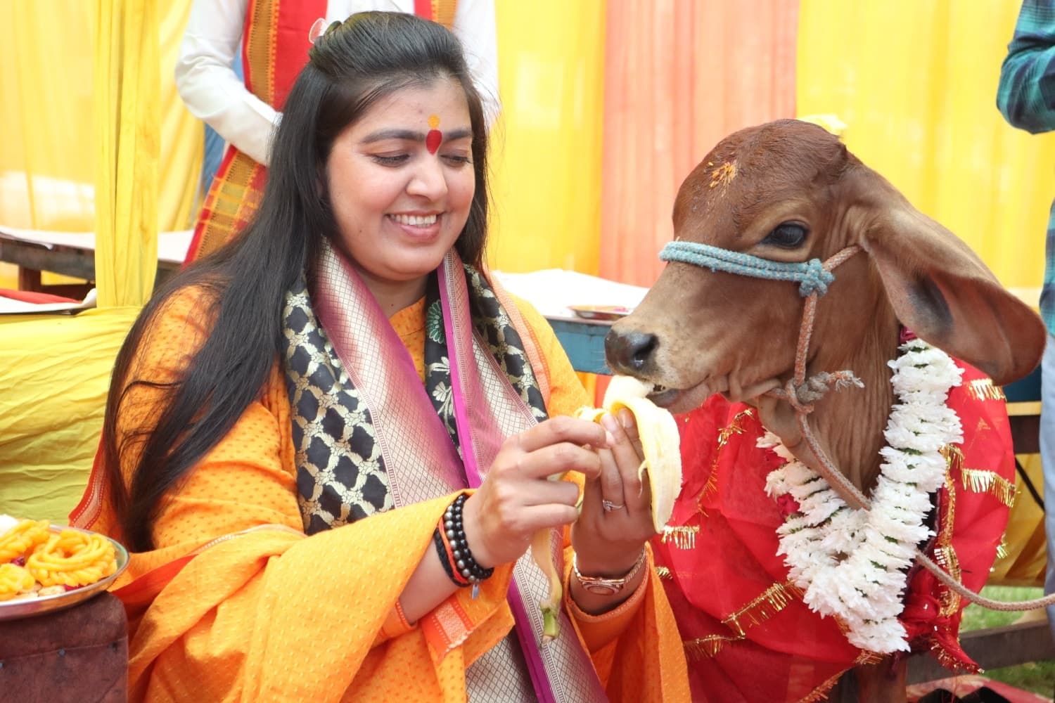 गौ सेवा 3