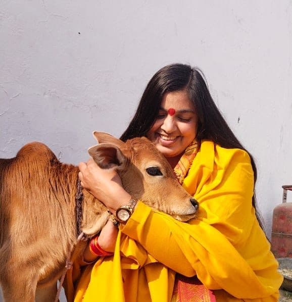 गौ सेवा 6